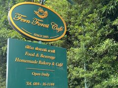 -Fern Forest Cafe
