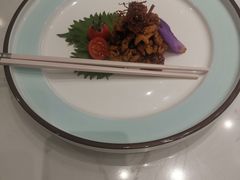 -丁老爷子苏香圆