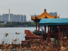 -济南大明湖景区