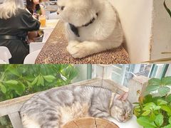 -小时光咖啡馆(北锣鼓巷店)
