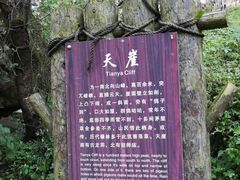 -少华山国家森林公园