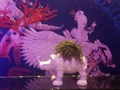 -纯K(打浦桥店)