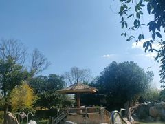 -大理地热国