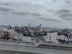 -高佳庄·舟山海鲜(海景旗舰店)