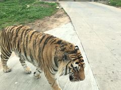 -西安秦岭野生动物园