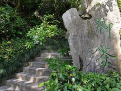 -十八棵（老龙井）御茶园(老龙井店)