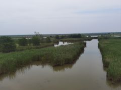 -盐城丹顶鹤湿地生态旅游区