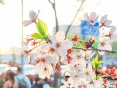 -龙美术馆(西岸馆)