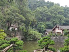 -南山植物园