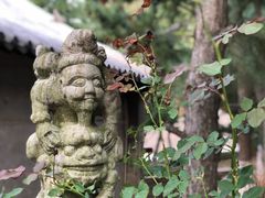 -石岛赤山风景区