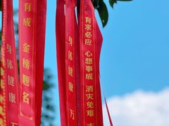 -古德寺