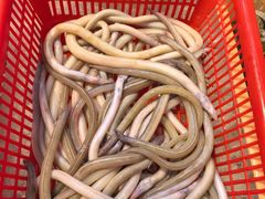 -花开富贵平潭海鲜楼(平潭店)