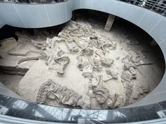 -自贡恐龙博物馆