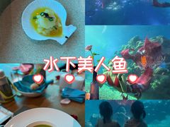 -海棠湾洲际-涛·海底餐厅·美人鱼·自助餐·海底隧道