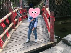 -少华山国家森林公园