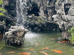 -顺峰山公园