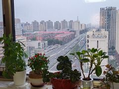 -鼎恒中心商务楼