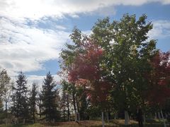 -长春世界雕塑园冰雪艺术天地