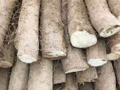 山药-桐庐江南农贸市场