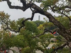-江心屿景区