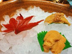 -月龍吟(朝龙汇店)