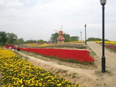 -杭州湾海上花田景区