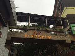 -厦门市日光幼儿园