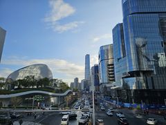 -深圳湾万象城(南山店)