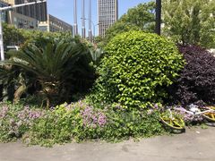 -麦当劳(台州路桥DT店)