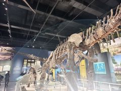 -国家自然博物馆