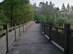 -重庆彩云湖湿地公园