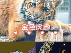 -上海宝华万豪酒店