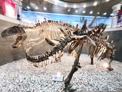 -国家自然博物馆