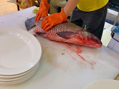 一百多斤的大鱼-老刘生态大鱼坊铁锅炖鱼(赛马场店)