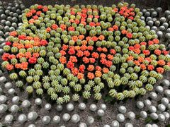 -南山植物园