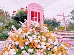 -上房园艺·梦花源