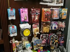 -宠爱国际动物医院· 猫科· 外科·中兽医(长白店)