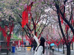 -西安青龙寺遗址景区