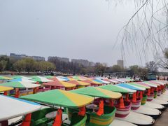 -二一九公园