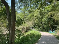 -青龙山国家森林公园