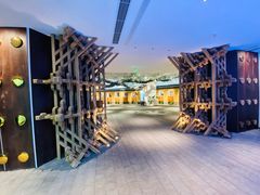 -大视光学•LINDBERG林德伯格•全球手工眼镜集合店(王府井店)