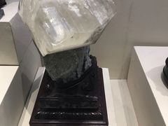 -安徽省地质博物馆