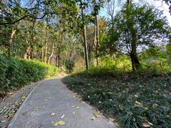 -深圳国际园林花卉博览园