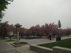 -大雁塔北广场音乐喷泉