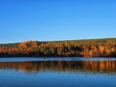 -五营红松林海景区