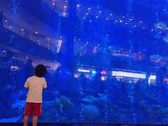 -成都浩海立方海洋公园