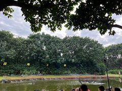 -广州长隆飞鸟乐园
