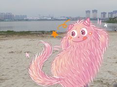 -九龙湖公园