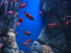 -成都浩海立方海洋公园