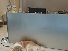 -YCHL Studios健身工作室(市二宫店)